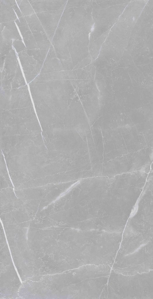 60×120 ALEATS  GREY Full Lappato